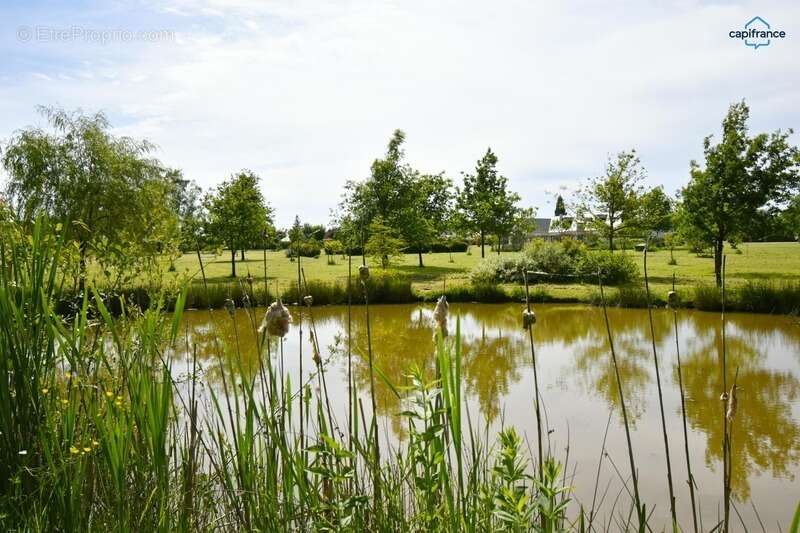 Maison à VERNOU-EN-SOLOGNE