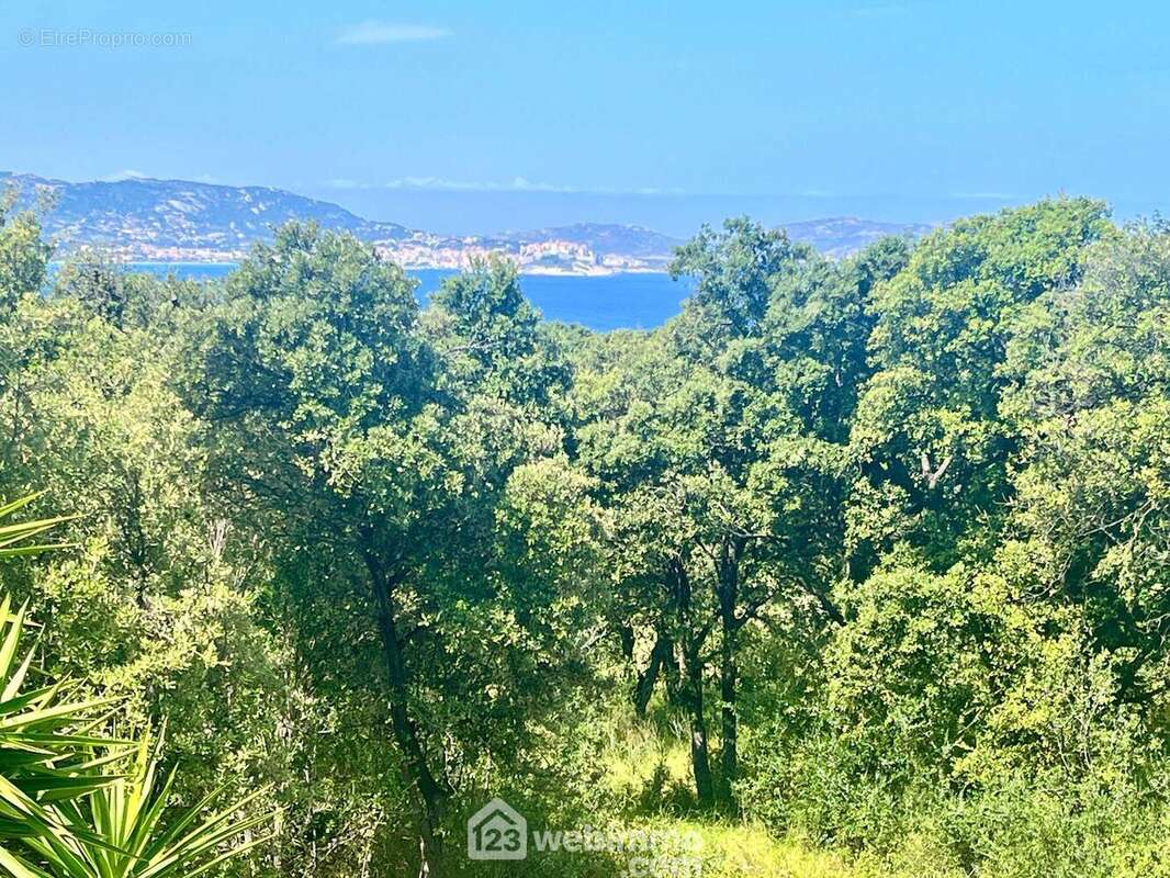 Appartement à LUMIO