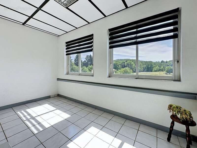 Maison à vendre 8 pièces VARSBERG (57), 2 garages , dépendance et jardin - photo 5