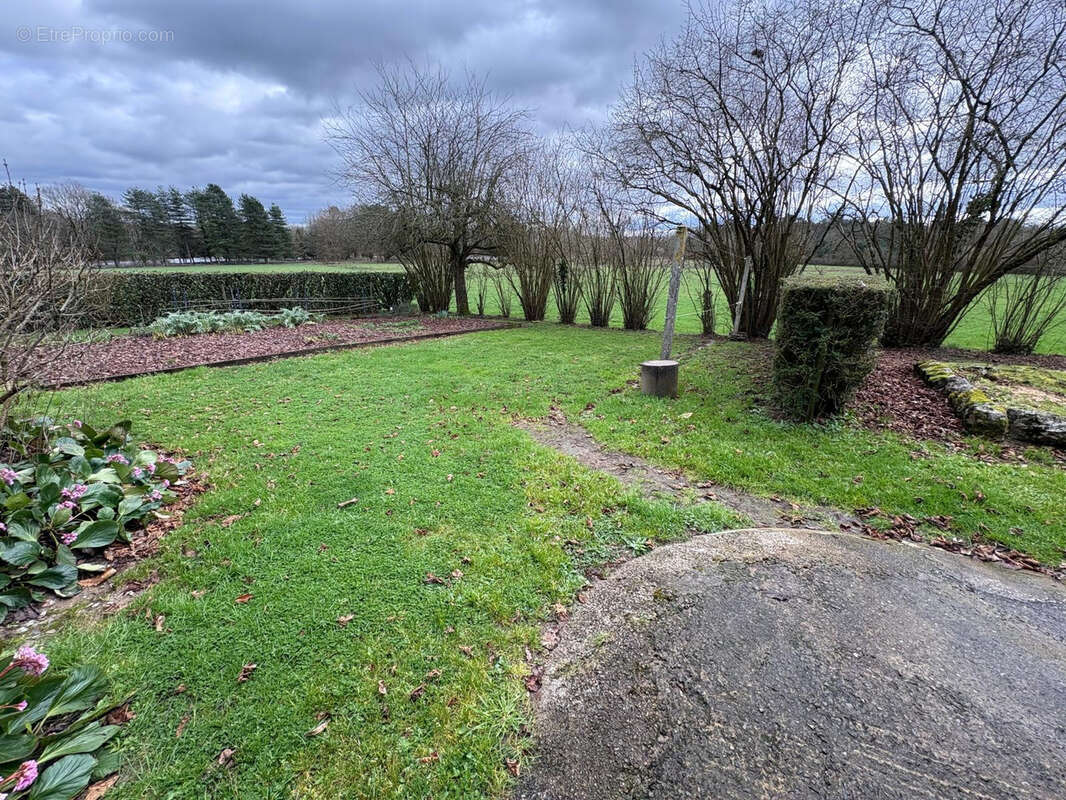 Terrain à SUCE-SUR-ERDRE