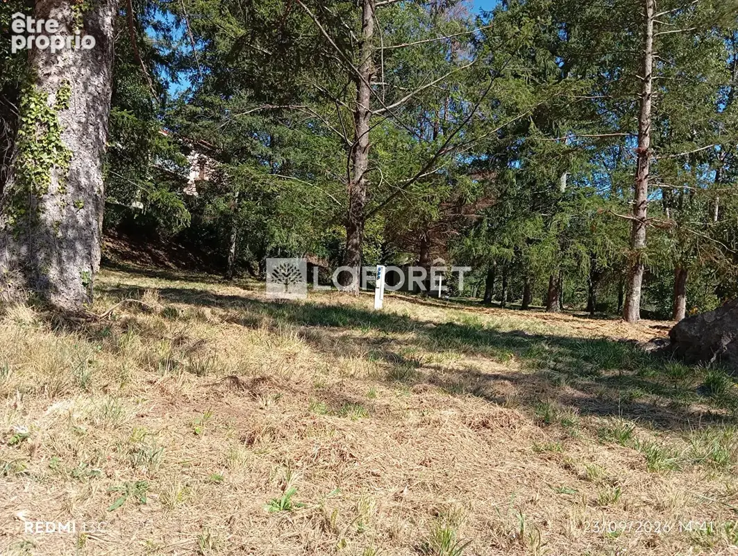 Ancien camping + maison - prats 66 - photo 11