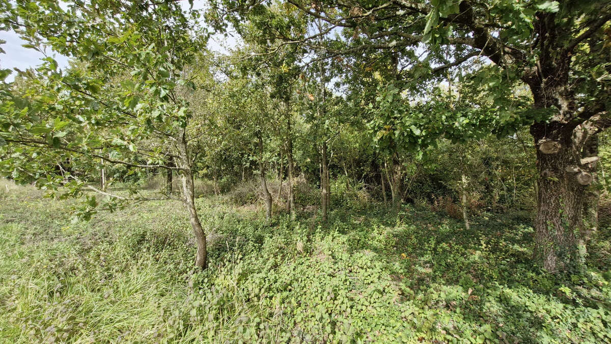 Terrain à CHENAC-SAINT-SEURIN-D&#039;UZET