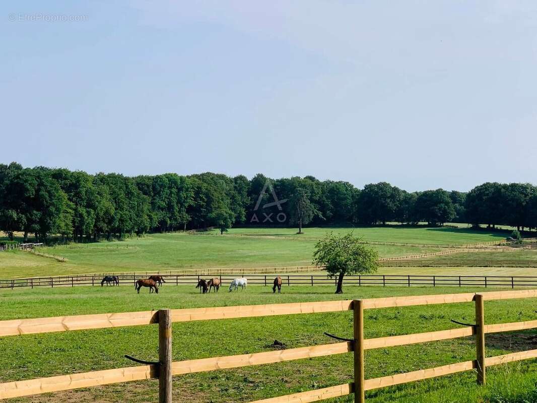Maison à LA FERTE-MACE