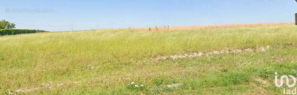 Photo 3 - Terrain à BACOUEL