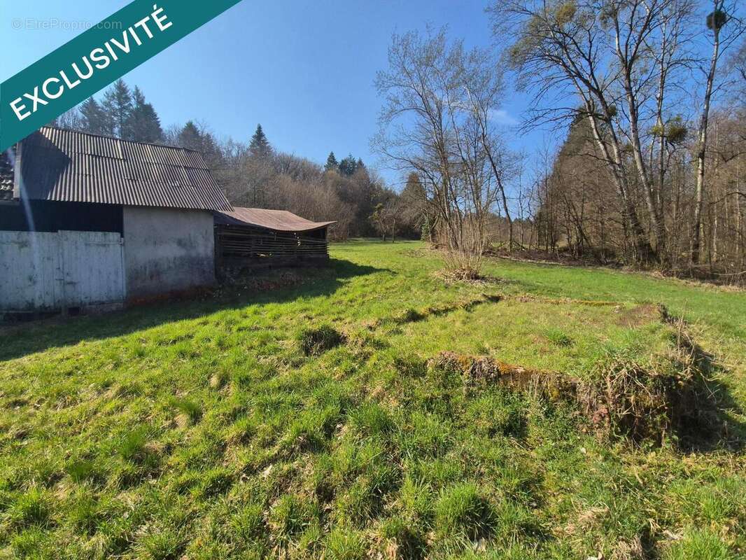 Photo 3 - Maison à ETUEFFONT