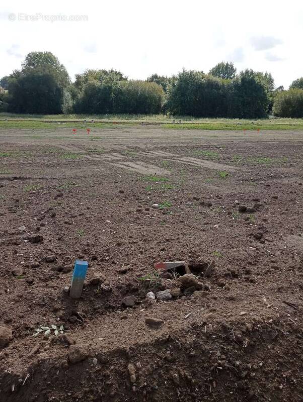 Maison à LES HERBIERS