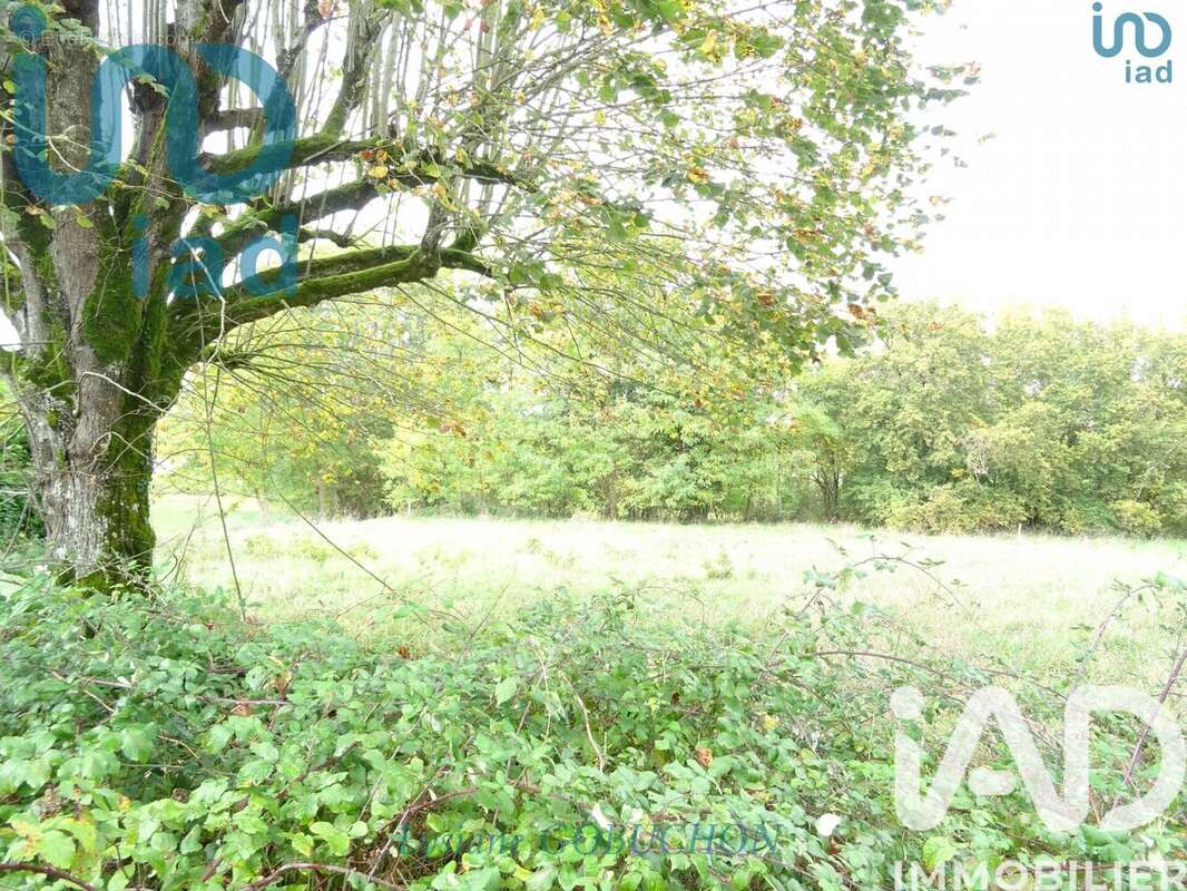 Photo 4 - Maison à LA CHAPELLE-GRESIGNAC
