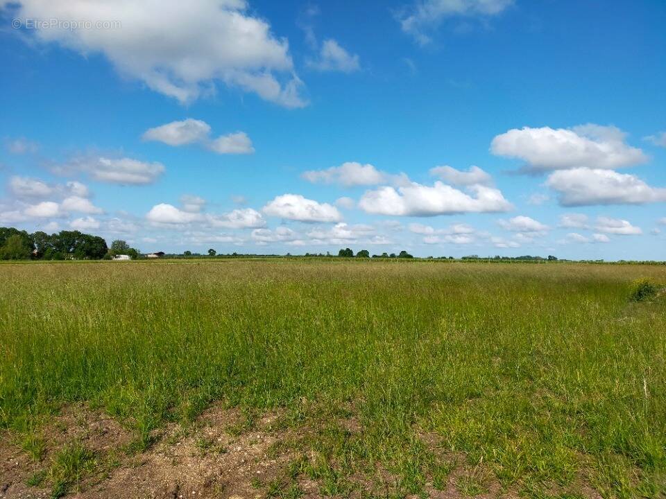 Terrain à SAINT-BRICE