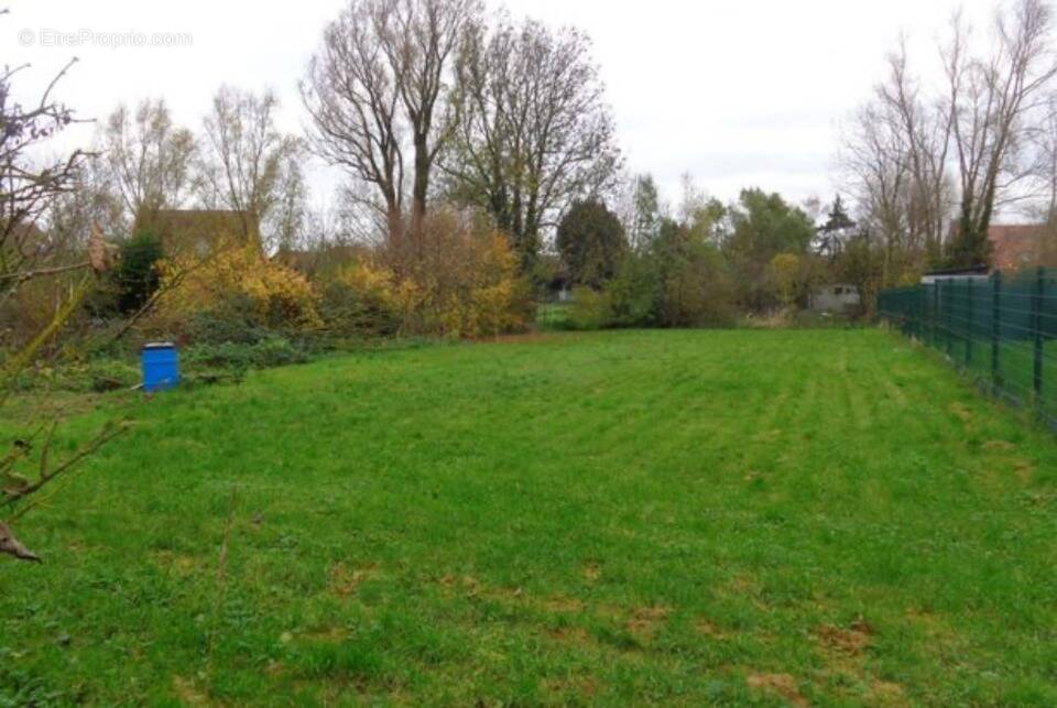 Terrain à FAUQUEMBERGUES