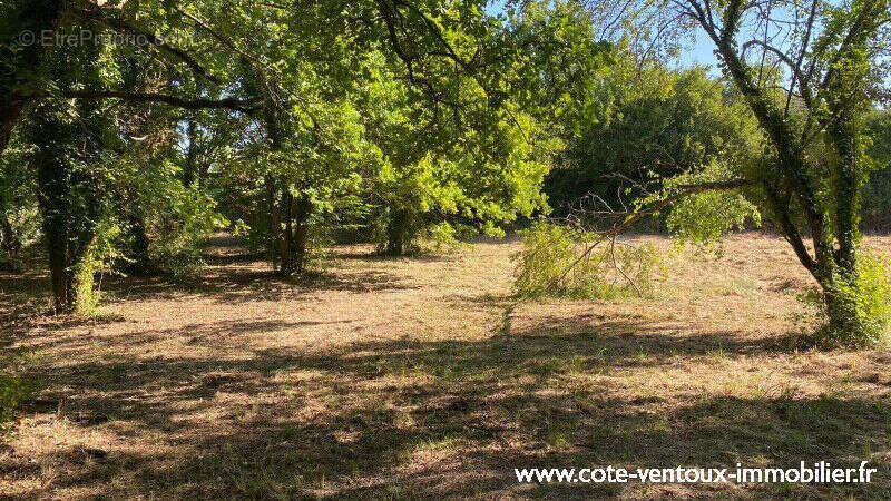 Terrain constructible viabilisé - 800 m² - photo 2