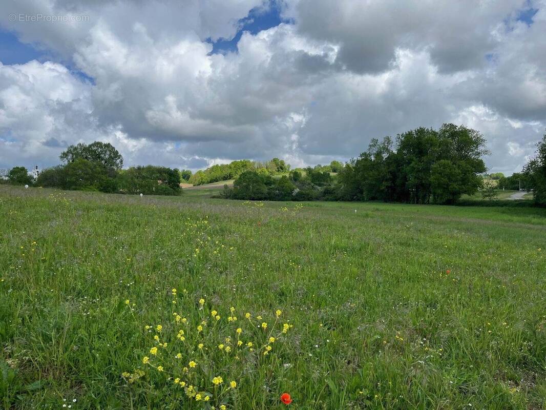 Terrain à SAINT-LAURENT-DE-COGNAC