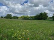 Terrain à SAINT-LAURENT-DE-COGNAC