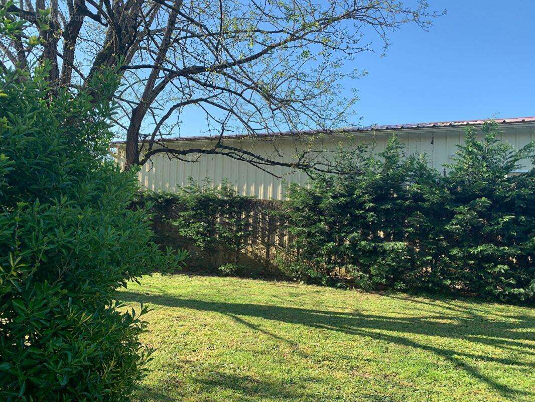 Maison à SAINT-MAGNE-DE-CASTILLON