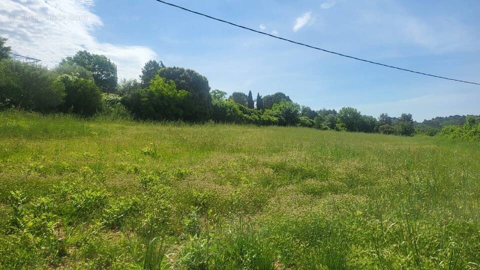 Terrain à BRUE-AURIAC