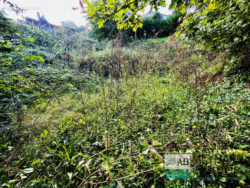 Terrain à LA CELLE-SUR-MORIN