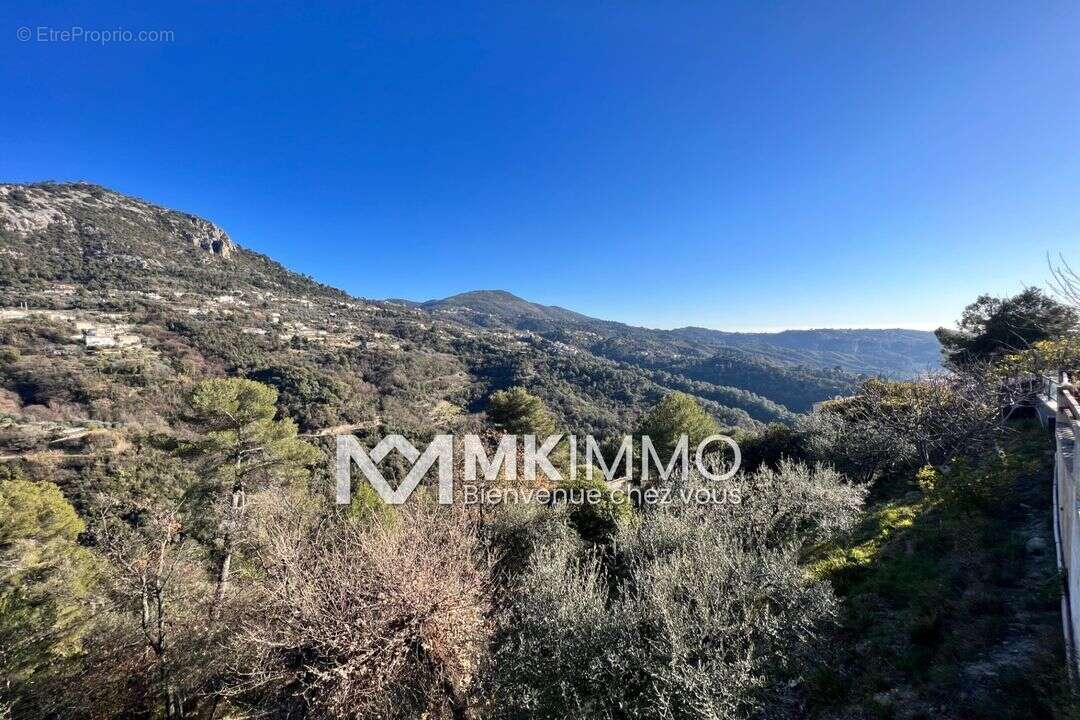 Terrain à CASTAGNIERS