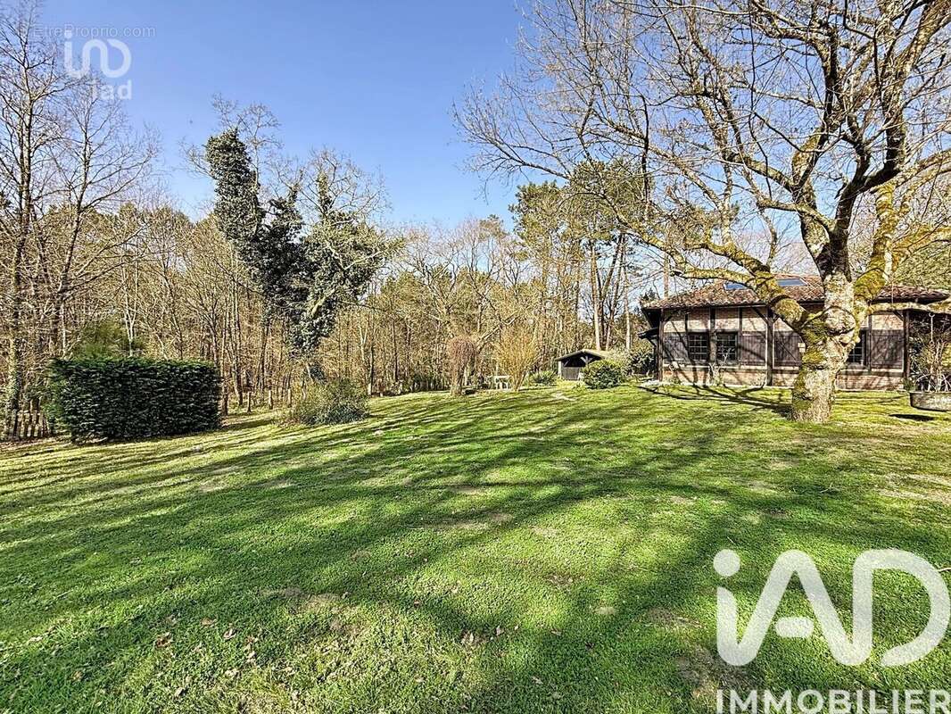 Photo 4 - Maison à MAGESCQ