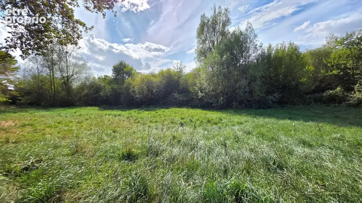 LEZOUX / Terrain à bâtir à vendre de 1 555 m2 viabilisé - photo 4