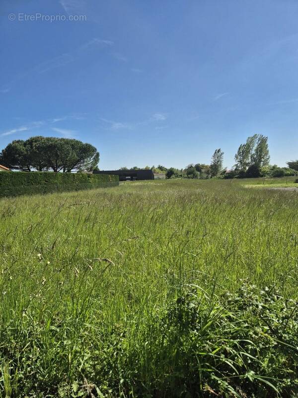 Terrain à FOUQUEURE