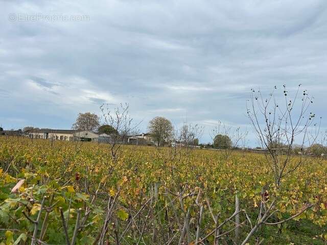 Terrain à LIBOURNE