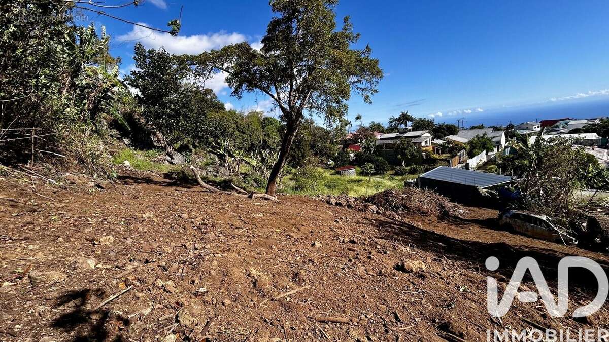 Photo 7 - Terrain à LE TAMPON