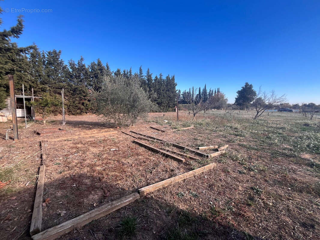 Terrain à THUIR