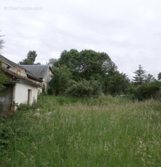 Terrain à VILLENAVE-D'ORNON