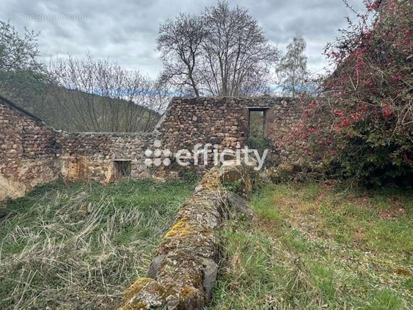 Maison 80 m² à Monistrol-D'allier  - photo 5