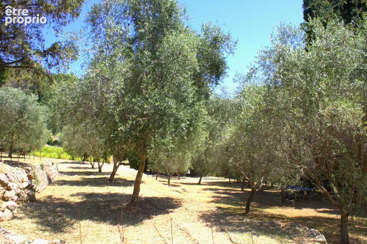 Mas du XVIIIème Siècle de 300 m² sur domaine de 15 000 m² - photo 9