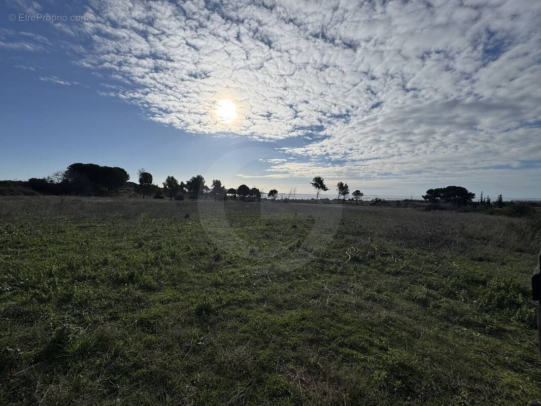 Terrain à LOUPIAN