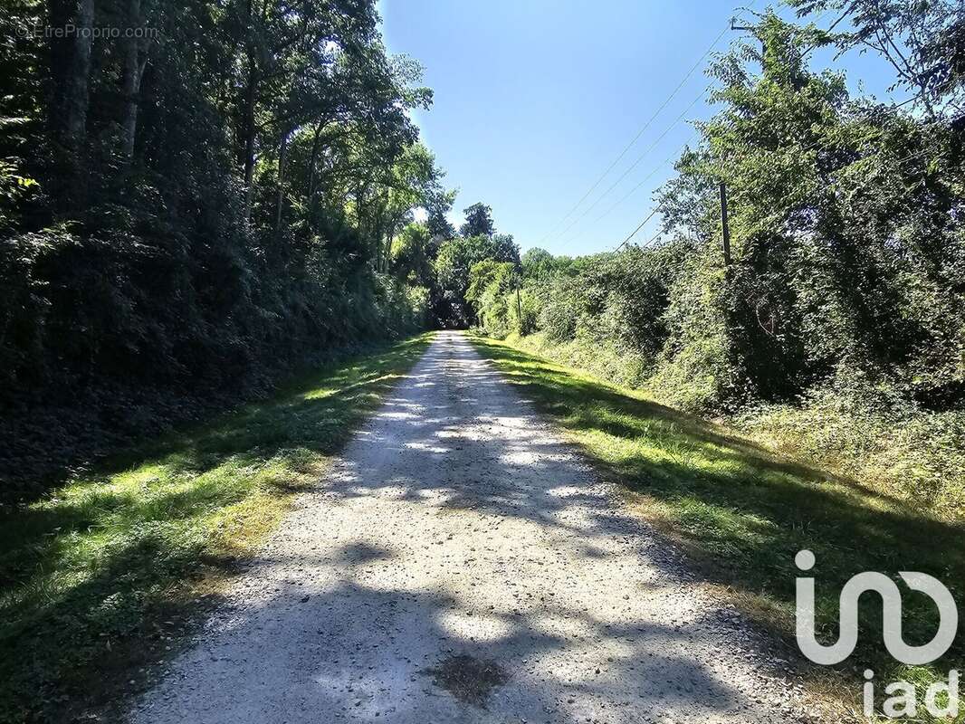 Photo 4 - Maison à COURCEMONT