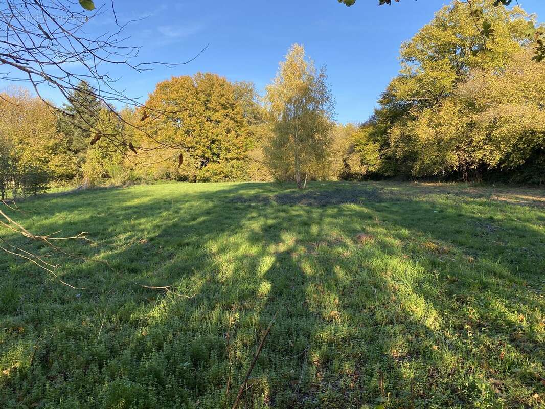 Maison à NEUVIC-ENTIER