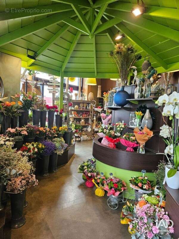 Photo 2 - Commerce à CARHAIX-PLOUGUER