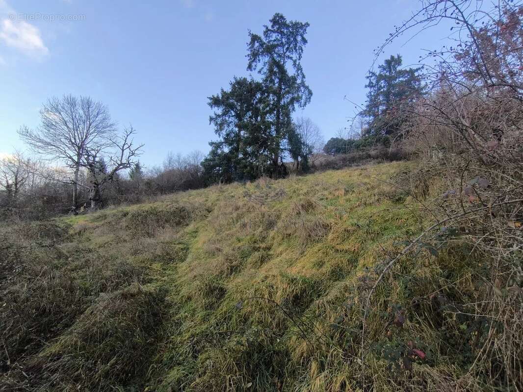 Terrain à BEAUJEU