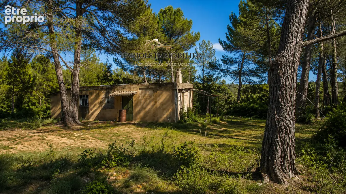 cabanon  1 hectare avec edf - photo 17