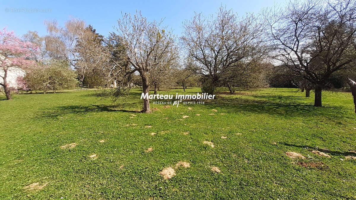 Terrain à SAVIGNE-L&#039;EVEQUE