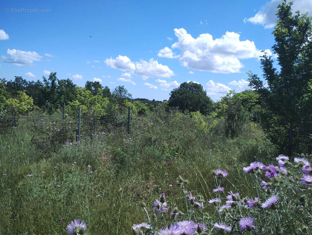 Vends terrain agricole et de loisirs 15 929 m2 - 34800 La Coste - photo 6