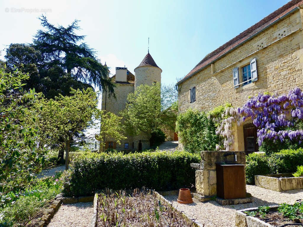 Château historique de 1501 avec vue panoramique et commodités à pied - photo 13