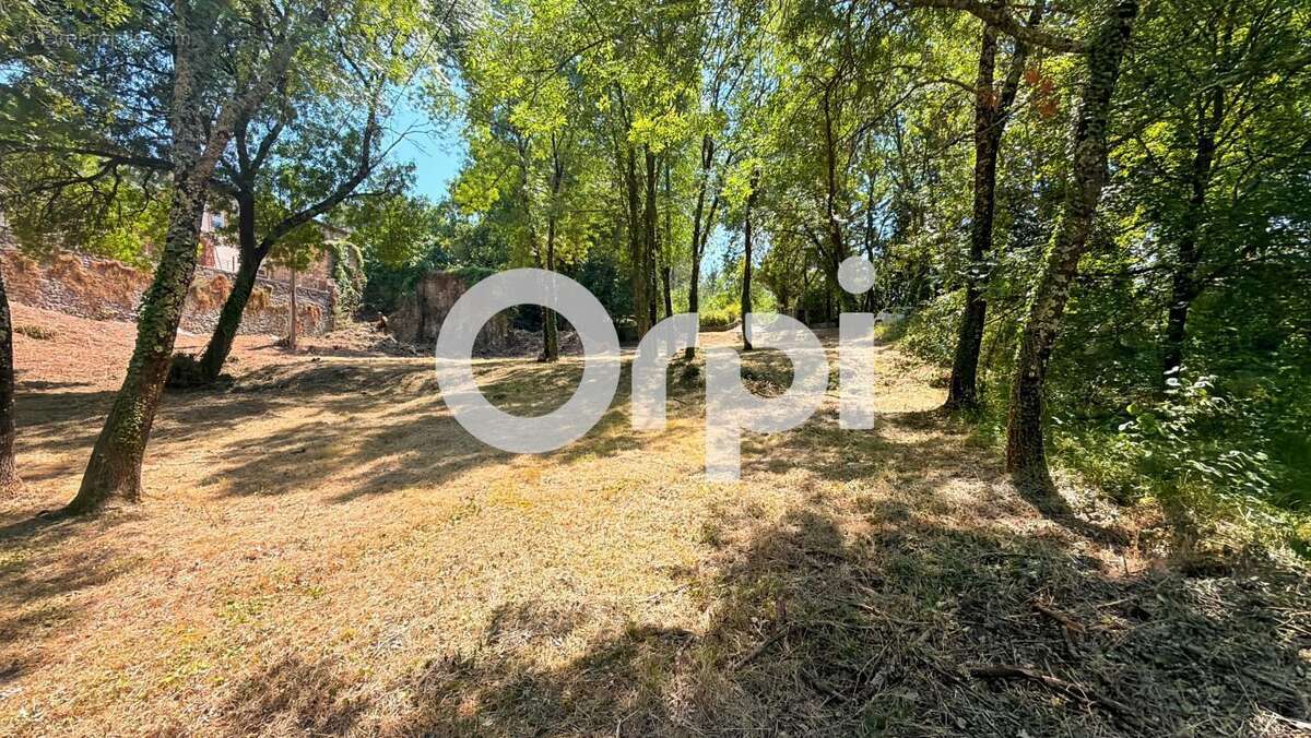 Bâtisse de 1800 sur plus de 2,8 hectares – Allègre-les-Fumades - photo 5