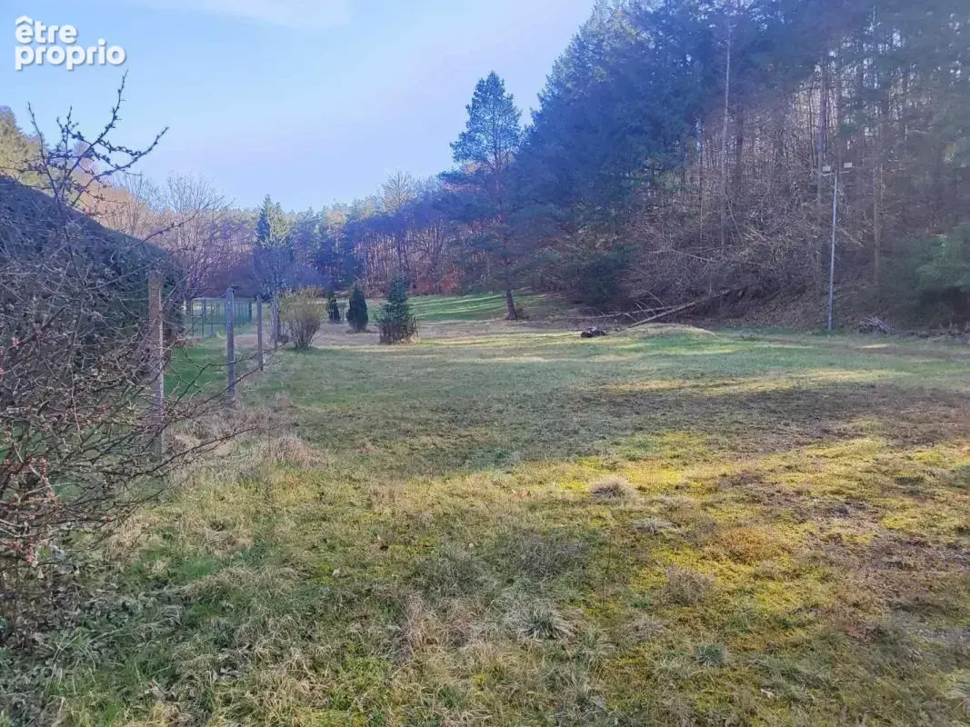 Maison 10 pièces 249 m² à vendre à Philippsbourg (57230) - photo 4