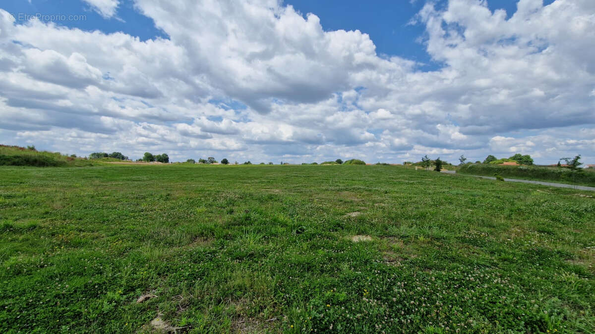 Terrain à SAINT-SEVER