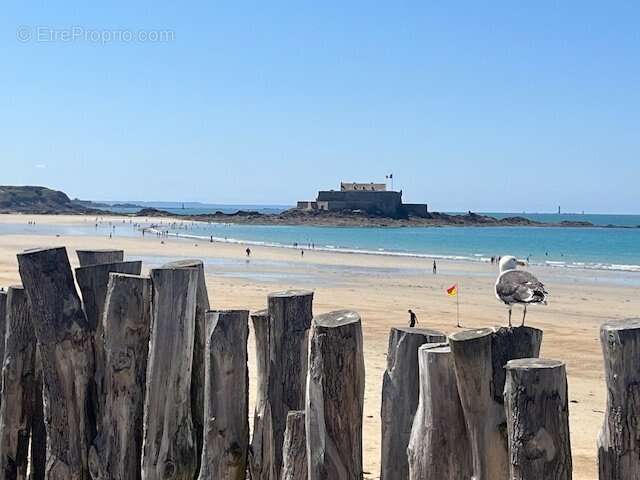 Terrain à SAINT-MALO