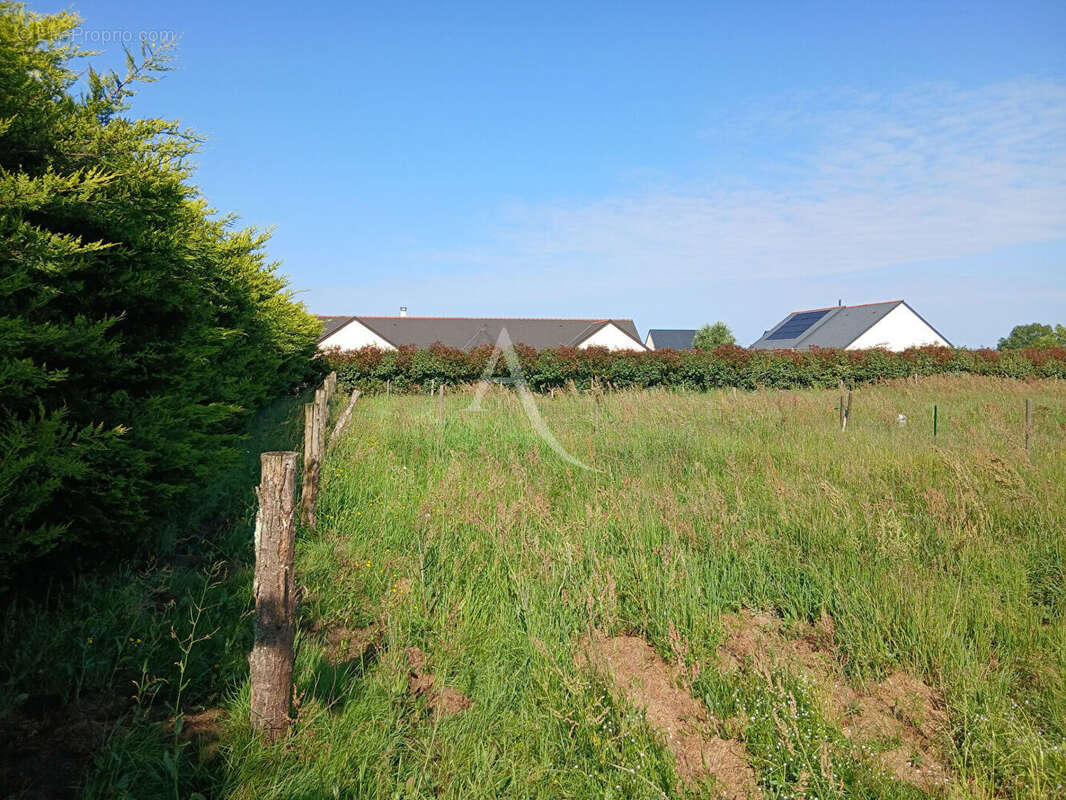 Terrain Querre - photo 4