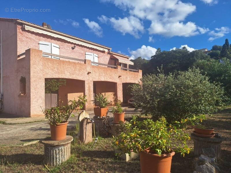 Maison à PIETROSELLA