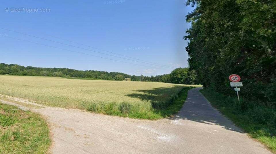 Terrain à HIRSINGUE