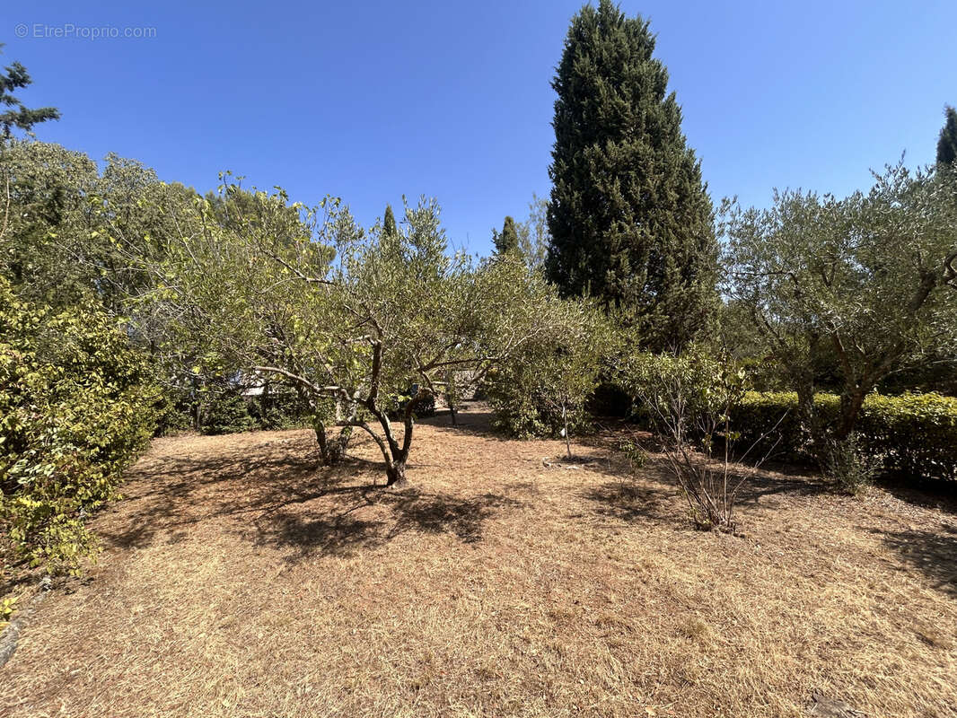 Exclusivite hauts de nimes maison 150m2 terrain 3062m2 arbore garage en sous sol - photo 12