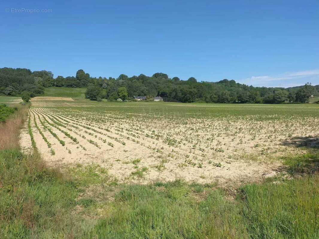 Terrain à GABASTON