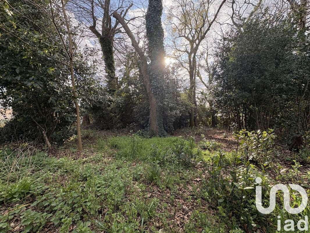 Photo 4 - Terrain à BREUILLET