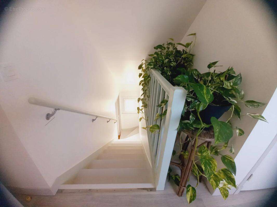 Maison à LA MEMBROLLE-SUR-CHOISILLE