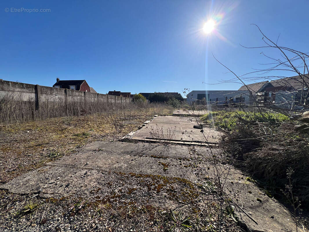 Terrain à SAINT-VENANT
